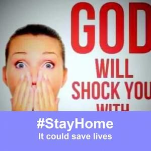 Meet your Posher, Sylvester